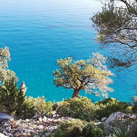 게스트하우스 Domo Annalisa 토르톨리