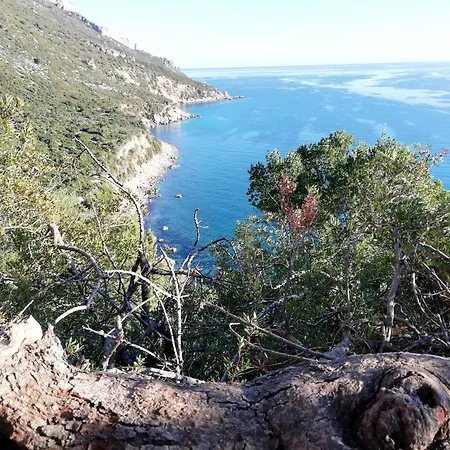 게스트하우스 Domo Annalisa