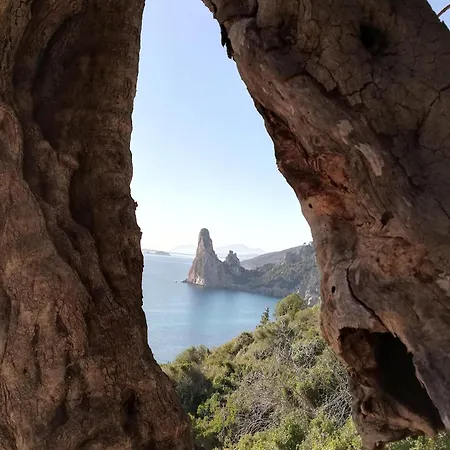 Domo Annalisa 토르톨리