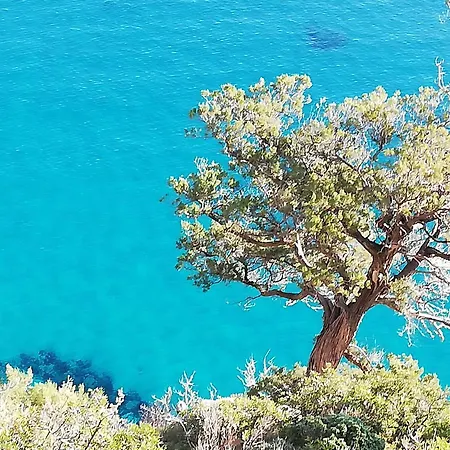 게스트하우스 Domo Annalisa