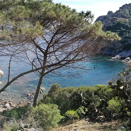 Domo Annalisa 토르톨리