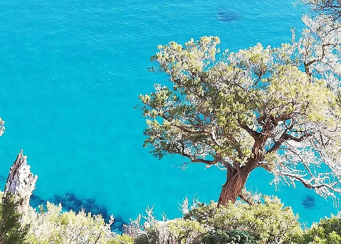 Casa de hóspedes Domo Annalisa