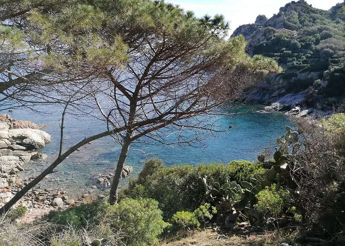 Domo Annalisa Tortolì